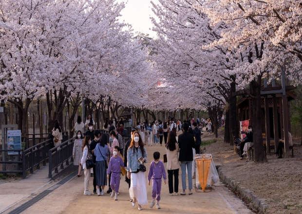 Hướng dẫn xin visa du lịch Hàn Quốc cho sinh viên tỉ lệ đậu cao